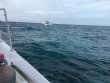 Wednesday October 10th 2018 Tropical Legend: North Star reef report photo 1