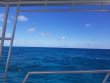Friday October 19th 2018 Tropical Legend: North Star reef report photo 1
