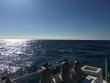 Sunday October 21st 2018 Tropical Legend: Benwood Wreck reef report photo 1