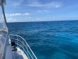 Friday June 26th 2020 Tropical Legend: Snapper Ledge reef report photo 1
