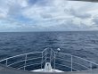 Saturday October 17th 2020 Tropical Odyssey: Spiegel Grove reef report photo 1