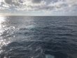 Saturday October 31st 2020 Tropical Odyssey: Spiegel Grove reef report photo 1