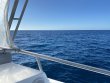 Sunday December 13th 2020 Tropical Odyssey: Spiegel Grove reef report photo 1