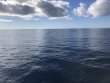 Tuesday March 23rd 2021 Tropical Odyssey: Spiegel Grove reef report photo 1