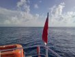 Thursday September 9th 2021 Tropical Odyssey: Spiegel Grove reef report photo 1