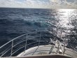Saturday December 11th 2021 Tropical Odyssey: Spiegel Grove reef report photo 1