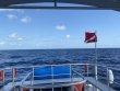 Thursday July 28th 2022 Tropical Odyssey: Spiegel Grove reef report photo 3