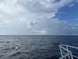 Saturday September 16th 2023 Tropical Odyssey: Spiegel Grove reef report photo 1