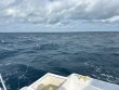 Friday January 5th 2024 Tropical Odyssey: Spiegel Grove reef report photo 1