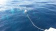 Friday September 16th 2016 Tropical Odyssey: USCGC Bibb reef report photo 1