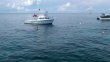 Friday September 23rd 2016 Tropical Odyssey: Drift Molasses reef report photo 1