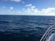 Tuesday October 18th 2016 Tropical Odyssey: Spiegel Grove reef report photo 1