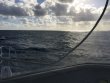 Tuesday November 1st 2016 Tropical Odyssey: Spiegel Grove reef report photo 1