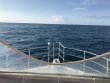 Wednesday January 4th 2017 Tropical Odyssey: Spiegel Grove reef report photo 1