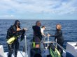 Thursday February 2nd 2017 Tropical Odyssey: Spiegel Grove reef report photo 1