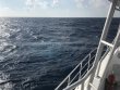Wednesday February 15th 2017 Tropical Odyssey: Spiegel Grove reef report photo 1