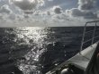 Wednesday April 19th 2017 Tropical Odyssey: USCGC Bibb reef report photo 1