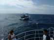 Saturday June 10th 2017 Tropical Odyssey: Spiegel Grove reef report photo 1