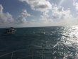 Tuesday October 10th 2017 Tropical Odyssey: Spiegel Grove reef report photo 1