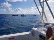Tuesday October 17th 2017 Tropical Odyssey: Spiegel Grove reef report photo 1