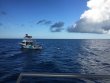 Thursday October 19th 2017 Tropical Odyssey: Spiegel Grove reef report photo 1