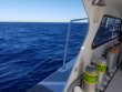Monday October 30th 2017 Tropical Odyssey: USCGC Bibb reef report photo 1