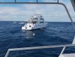 Saturday December 30th 2017 Tropical Odyssey: Spiegel Grove reef report photo 1