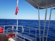 Wednesday February 14th 2018 Tropical Odyssey: Spiegel Grove reef report photo 1