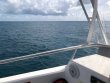 Sunday April 1st 2018 Tropical Odyssey: Spiegel Grove reef report photo 1