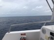 Saturday May 12th 2018 Tropical Odyssey: Spiegel Grove reef report photo 1