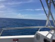 Saturday June 30th 2018 Tropical Odyssey: Spiegel Grove reef report photo 1