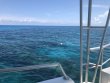 Tuesday July 3rd 2018 Tropical Odyssey: Minnow Cave reef report photo 1