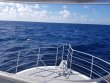 Sunday August 26th 2018 Tropical Odyssey: Spiegel Grove reef report photo 1