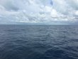 Sunday September 23rd 2018 Tropical Odyssey: Spiegel Grove reef report photo 1