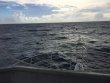 Saturday September 29th 2018 Tropical Odyssey: Spiegel Grove reef report photo 1