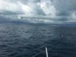 Sunday November 11th 2018 Tropical Odyssey: Spiegel Grove reef report photo 1