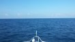 Wednesday October 1st 2014 Tropical Odyssey: USCGC Duane reef report photo 1