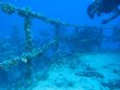 Tuesday November 11th 2014 Tropical Odyssey: Spiegel Grove reef report photo 1