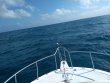 Saturday February 13th 2021 Tropical Serenity: Snapper Ledge reef report photo 1