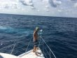 Monday April 25th 2016 Tropical Voyager: Spiegel Grove reef report photo 1