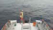 Friday June 10th 2016 Tropical Voyager: USCGC Duane reef report photo 1