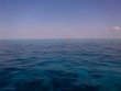 Saturday May 24th 2014 Tropical Voyager: North Star reef report photo 1