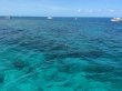Monday August 11th 2014 Tropical Voyager: Christ Statue reef report photo 2