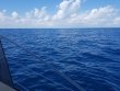 Saturday October 27th 2018 Tropical Voyager: Spiegel Grove reef report photo 1