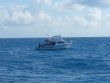 Sunday October 12th 2014 Tropical Voyager: Spiegel Grove reef report photo 1