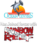 Ocean Divers has joined forces with RainbowReef for the best diving experience in the keys image