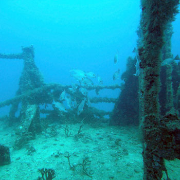 Starboard Crane | Spiegel Grove (Wreck) | Key Largo, Florida Keys