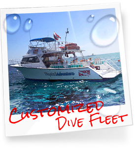 Tropical Explorer photo, part of our customized dive fleet in the Florida Keys, Key Largo