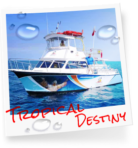 Tropical Destiny photo, part of our customized dive fleet in the Florida Keys, Key Largo