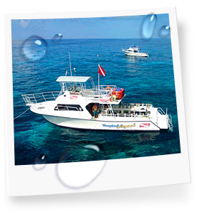 Eight Custom Clean and Comfortable Boats in Key Largo, FL image